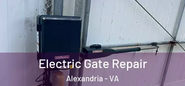 Electric Gate Repair Alexandria - VA