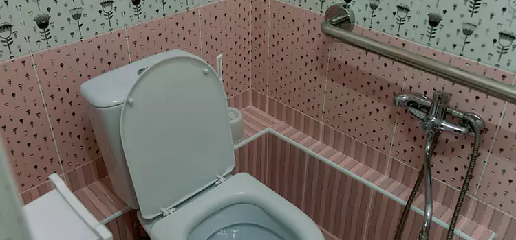 Meeting Diverse Needs With Accessible Restroom Solutions in Alexandria, VA