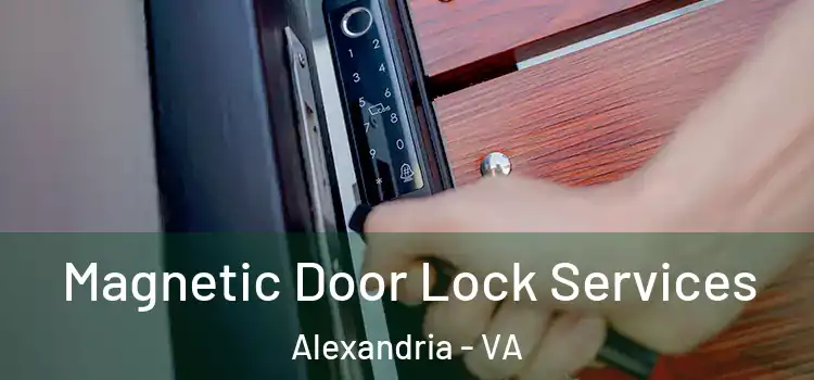 Magnetic Door Lock Services Alexandria - VA